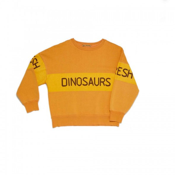 Fresh Dinosaurs Sweater (Multi Colour) - TA-DA!