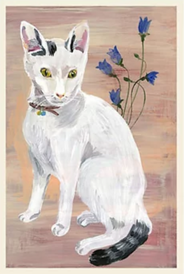 Nathalie Lete Postcard Racoon Tail Cat