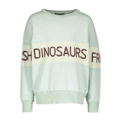 Fresh Dinosaurs Sweater (Multi Colour) - TA-DA!